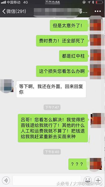 种草莓什么苗最好,种草莓是买种子好还是苗好