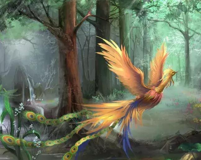 最神奇的胎梦是什么样的,做过哪些神奇的胎梦