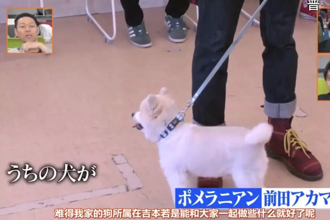 “郭德纲”+“杨超越”=新概念偶像团？秋元康是悟了还是疯了