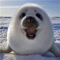 00后打工连个服务员都干不了,00后工资不要了直接走人可以吗