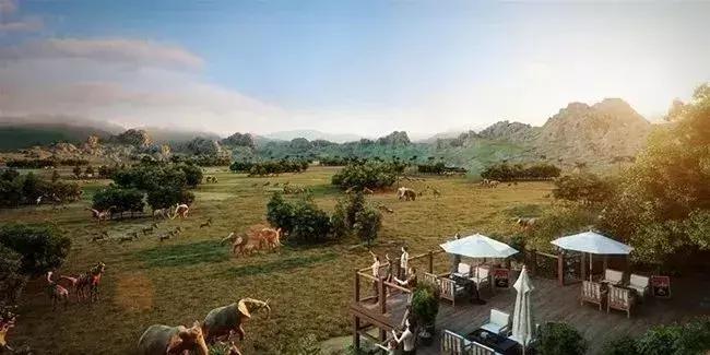 我不要做中国迪士尼，我要做中国的长隆！——苏志刚的长隆故事