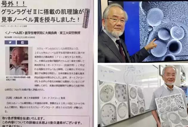 秦岚富察皇后护肤品,秦岚用的精华是什么