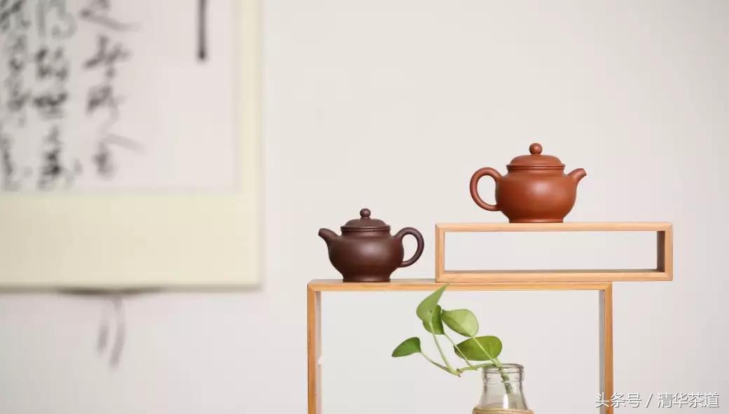 紫砂壶茶友日常泡茶,资深茶友紫砂壶