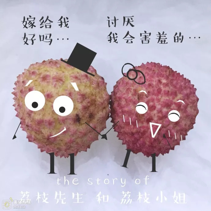 黄油相机有什么用处,黄油相机日常分享图片