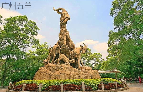 羊肉的秘密大曝光,羊的几种秘密