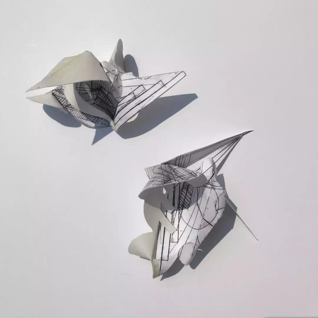 Y·T：今年夏天，我在哥大搬砖