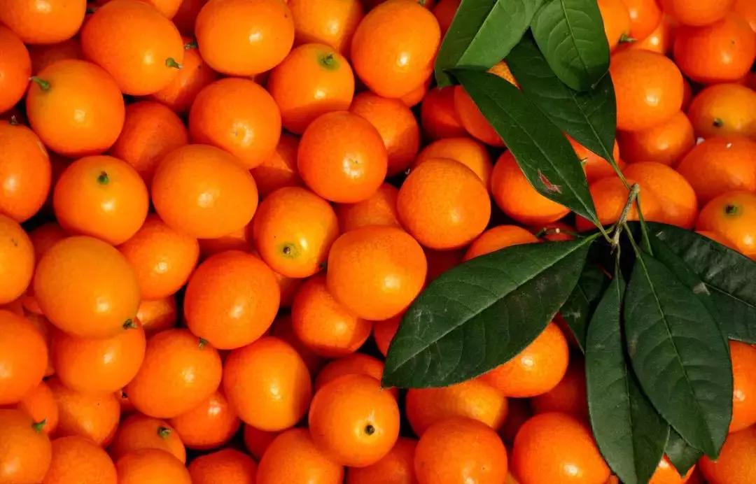 早起喉咙痰有血块怎么回事,早起喉咙里有褐色的痰疙瘩