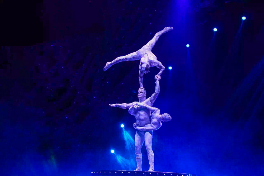 一天游珠海长隆海洋王国亲子攻略,珠海长隆海洋王国亲子游北极熊