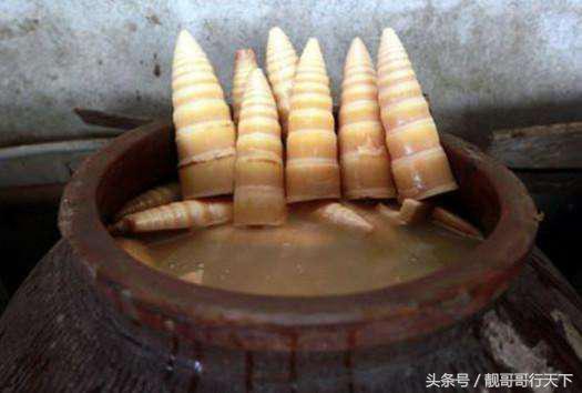 十大百吃不厌的蔬菜,很多人不喜欢吃的十种蔬菜