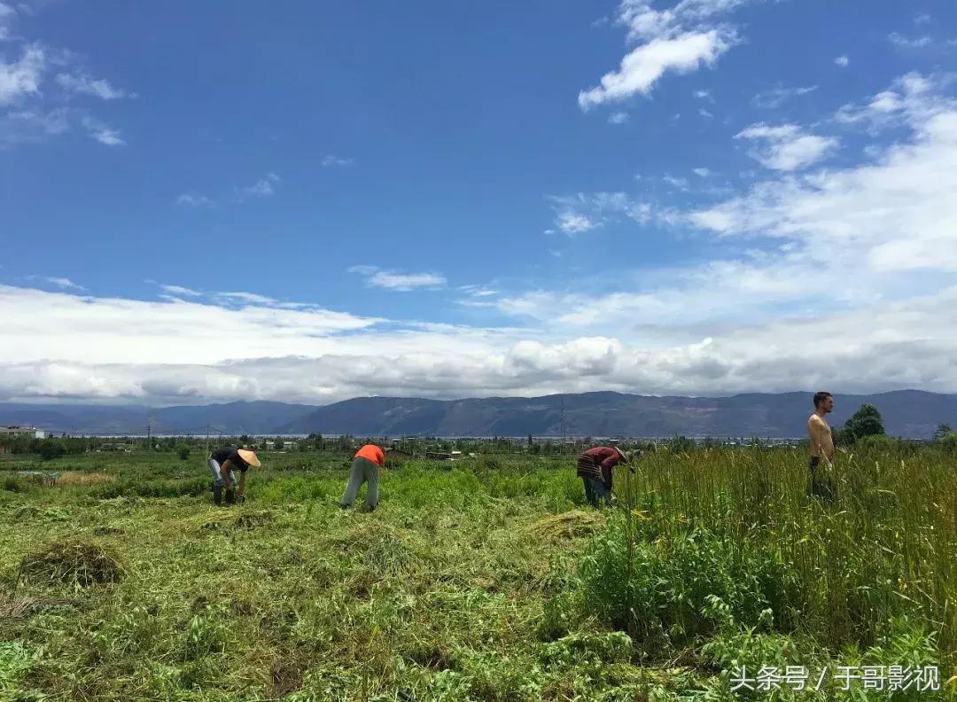 涓嶆墦宸ヤ笉涓婄彮灏辫兘涔版埧,涓嶆墦宸ヤ笉涔版埧鏃朵唬