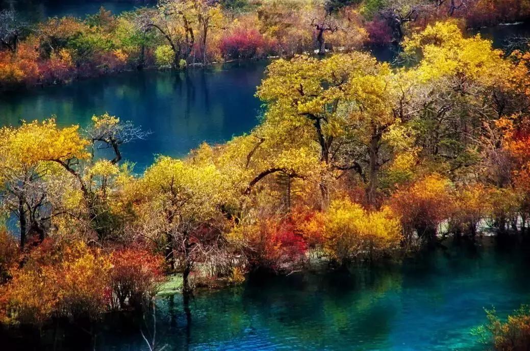 四川秋景第一名,四川欣赏秋景好去处