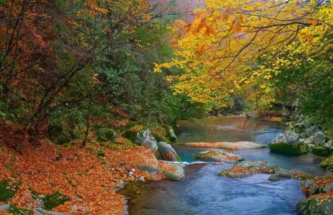 四川秋景第一名,四川欣赏秋景好去处
