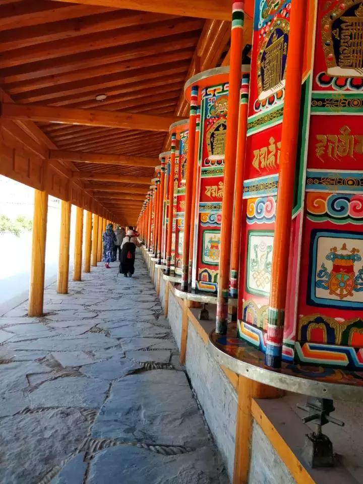 拉卜楞寺喇嘛居然能讲一口流利的英语桑科草原跑马收费陷阱多