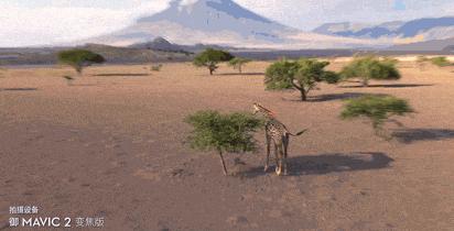 大疆mavic3无人机,大疆mavic2怎么连接手机