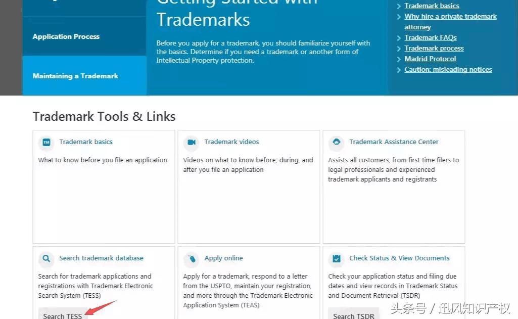 美国商标查询网,美国商标注册怎么查询
