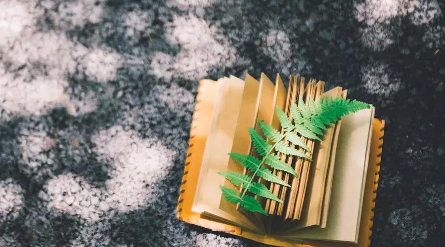 刑法知识点总结大全,刑法基础知识案例