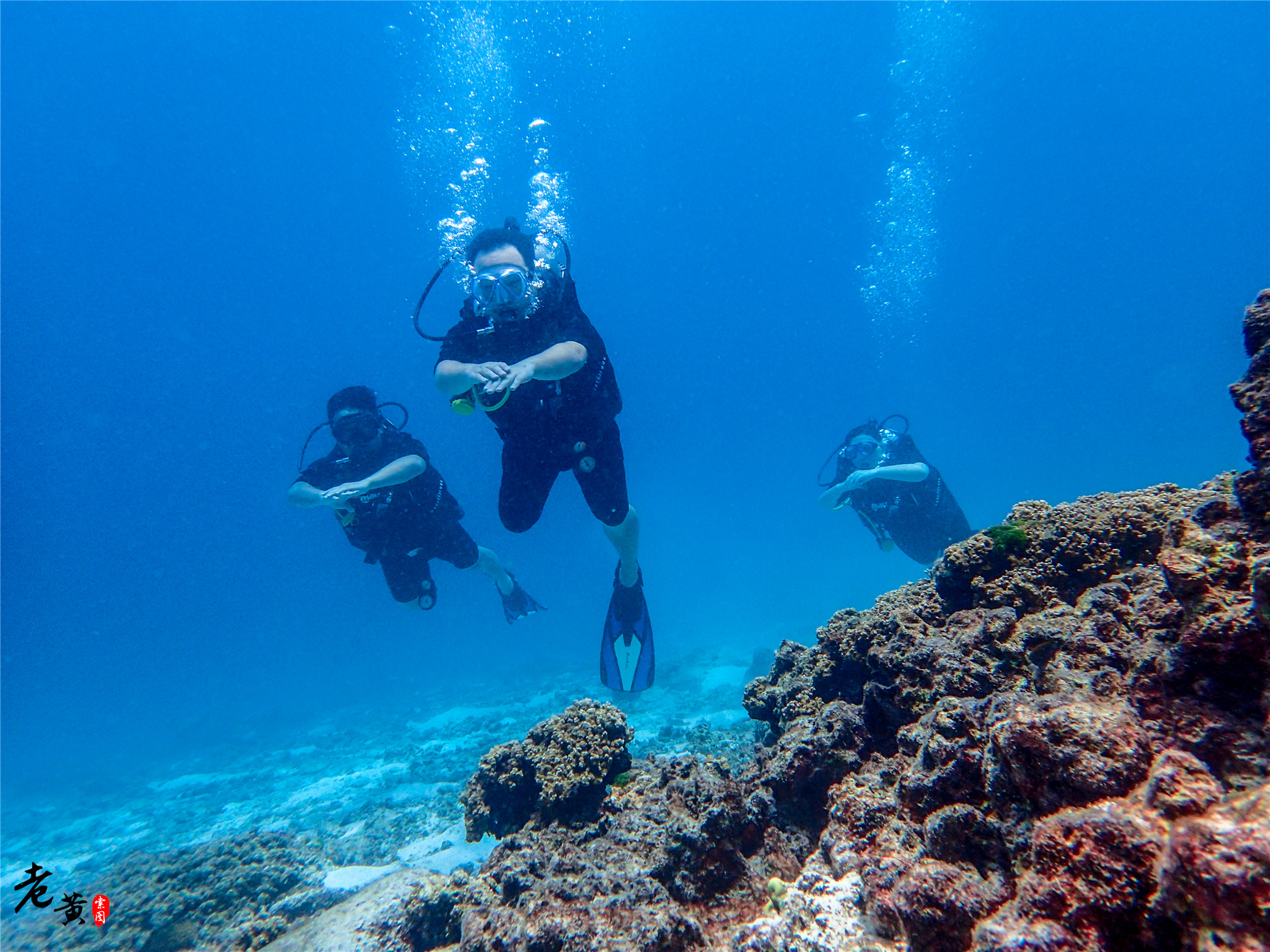 普吉岛深潜在哪里能遇到鱼群风暴,泰国大小皇帝岛潜水