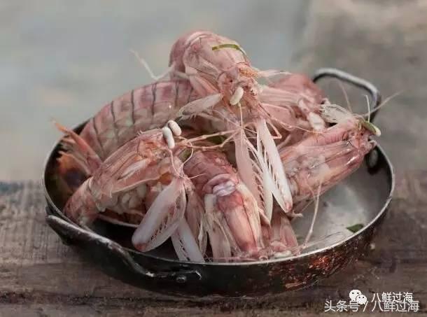 比手臂还大的皮皮虾吃起来超过瘾,比手臂还粗的皮皮虾你吃过了吗