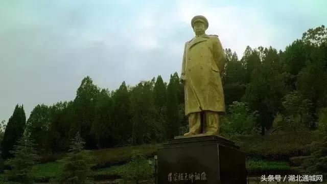 通城县红色历史故事,老通城革命历史