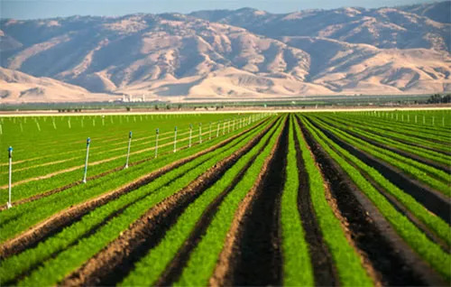 祝贺我市入选全国文明城市,武清区表彰先进个人和集体