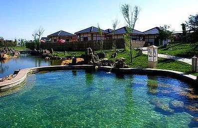 祝贺我市入选全国文明城市,武清区表彰先进个人和集体