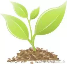 聚财旺家保平安,家里放什么聚财聚运气