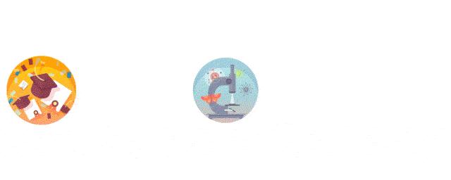 年年有鱼的做法用什么鱼,春夏秋冬吃各种鱼有讲究吗