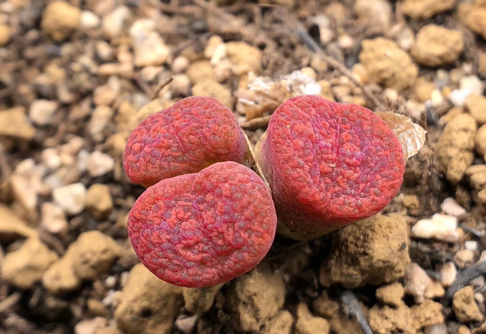 慢生活全文免费阅读,慢生活轻阅读