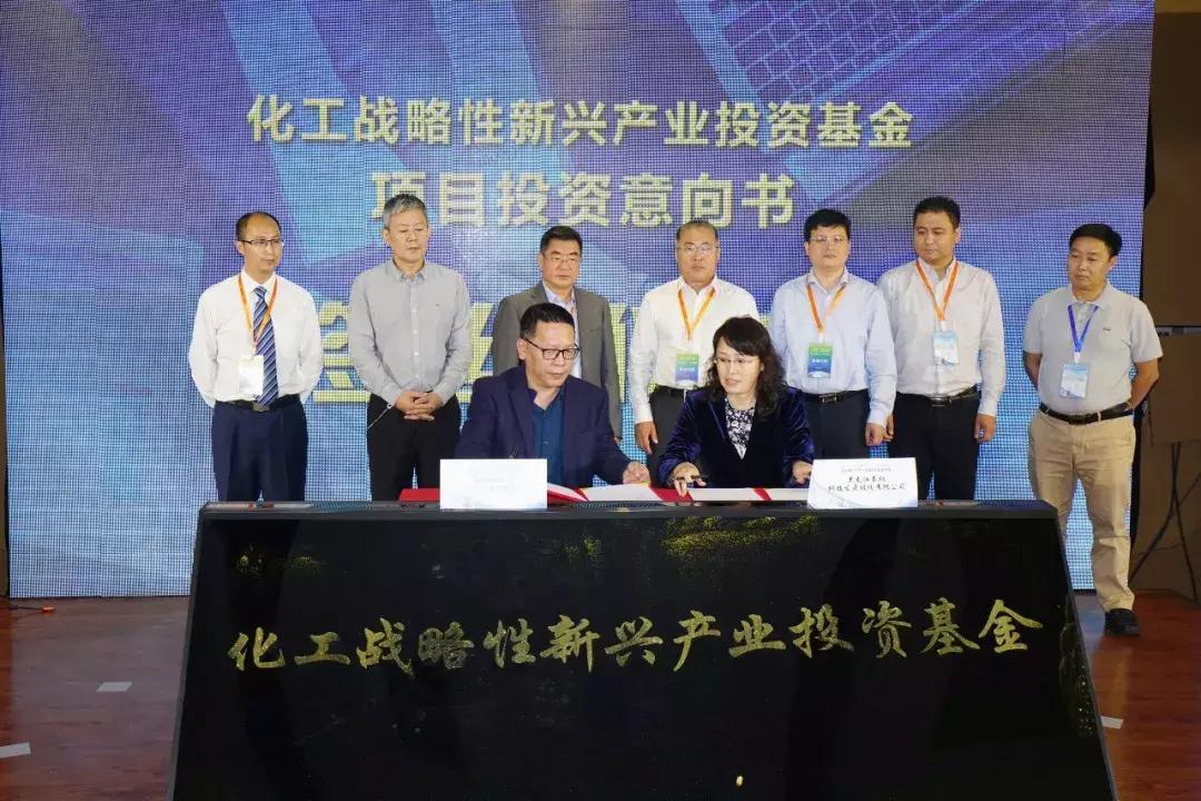 化工战略性基金,化工产业基金
