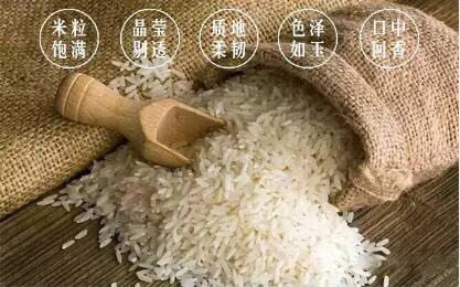 不再只做繁花旧梦电影故事的讲述者｜车墩，未来每个人的造梦之地