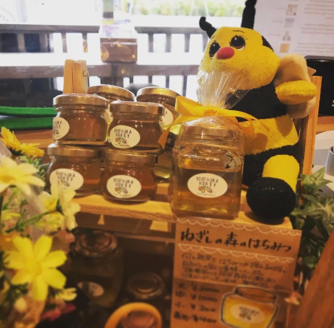 老板的烦恼全集,老板的烦恼有哪些