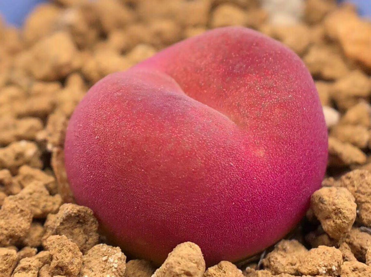 《慢生活·轻阅读》1356期