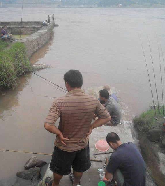 江边手竿赤眼鱼怎么钓,赤江钓鱼