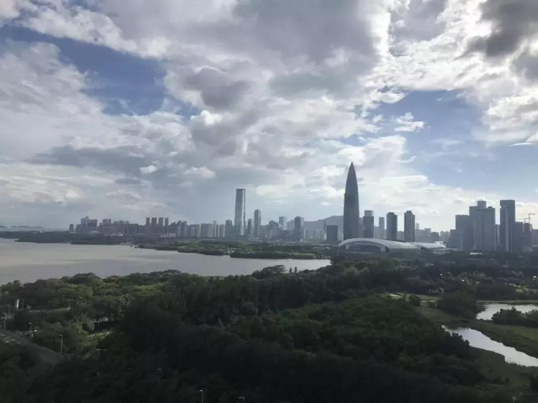 红树西岸位于红树湾商圈,红树湾红树西岸花园价格