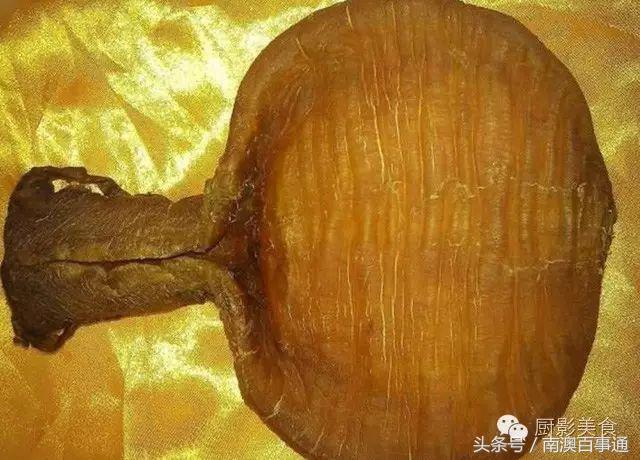 汕头南澳金钱鮸,最贵鮸鱼