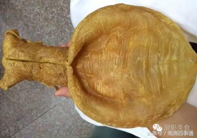 汕头南澳金钱鮸,最贵鮸鱼