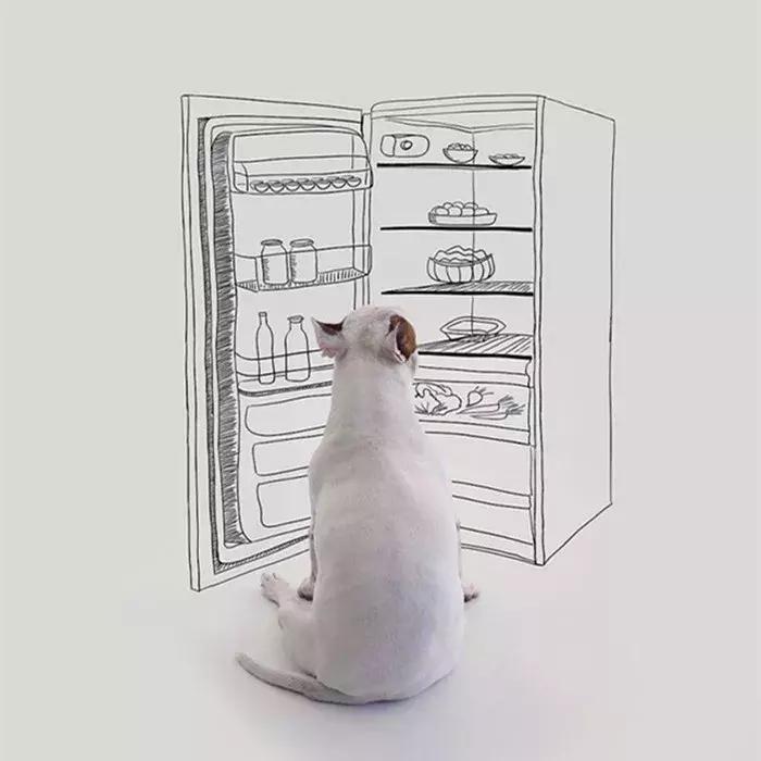 牛头梗的简笔画,牛头梗简笔画