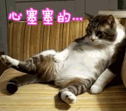 常州公交车怎么用手机刷,常州怎么刷公交车乘车码