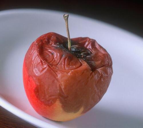 水果变质霉菌怎么消灭,怎么杀死水果中的霉菌