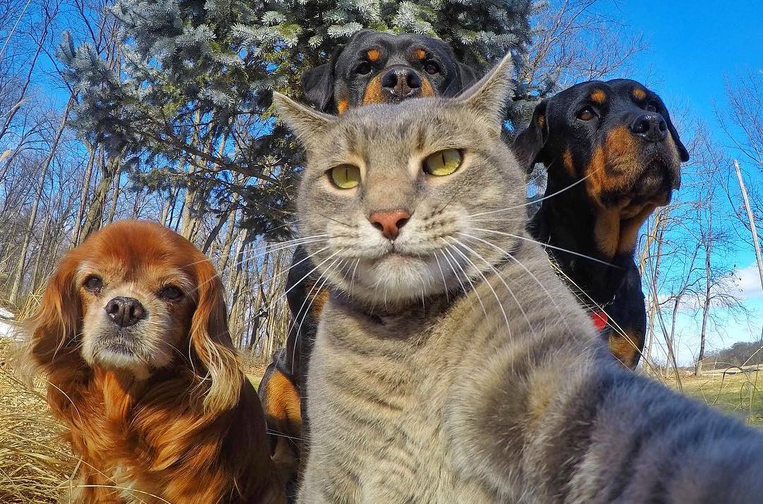 大疆mavicair2使用教程,大疆无人机mavicair2