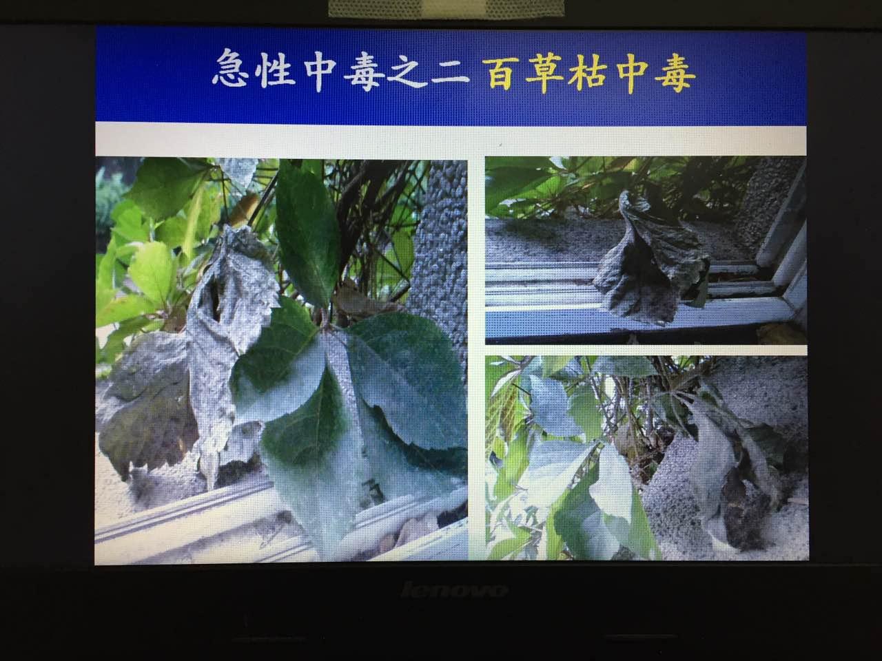 喝了百草枯最好的救治方法是什么,喝百草枯死亡率百分之几