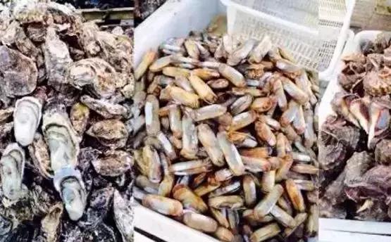 开海了哪里海鲜便宜汕头,开海了去哪里买海鲜青岛