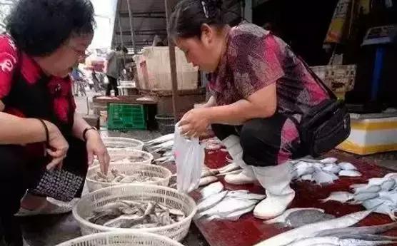 开海了有什么海鲜推荐买的,开海了海鲜去哪里买