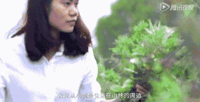 捡废弃东西做手工,32岁捡破烂