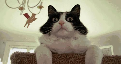 小学放假安排2023年放假通知,放假通知最新通知