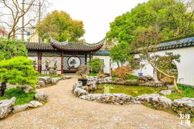 2021年上海迪士尼门票多少钱,上海迪士尼vip免排队门票价格