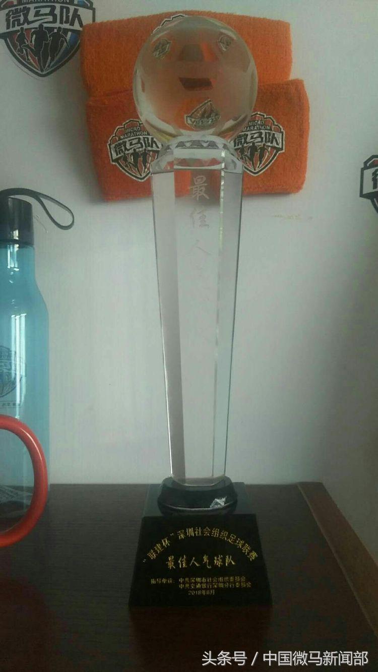 艳橙之花绽放绿茵