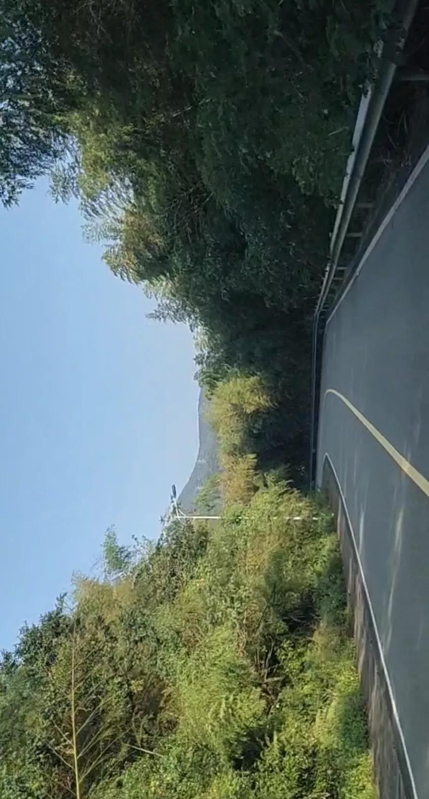 宁波镇海钓鱼野钓最新地点,宁波九龙湖水库钓鱼攻略