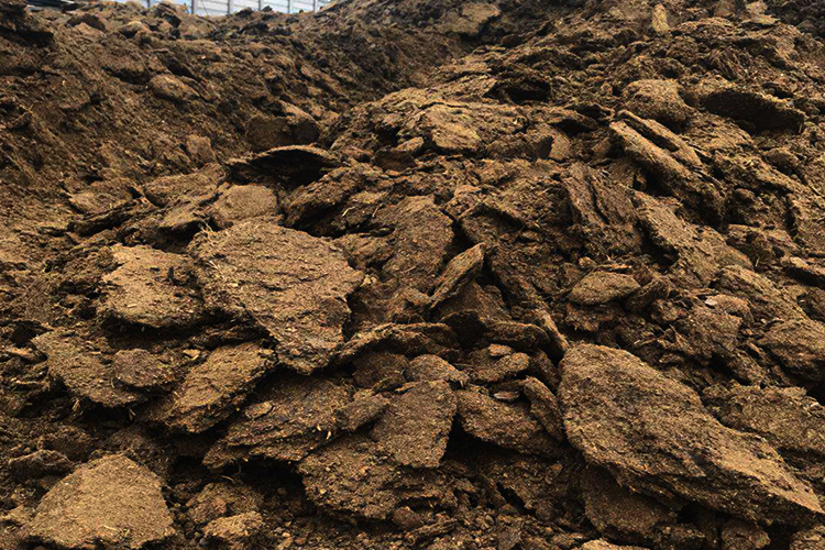 野河大鲤窝料配方大全,青鱼窝料配方野钓自制