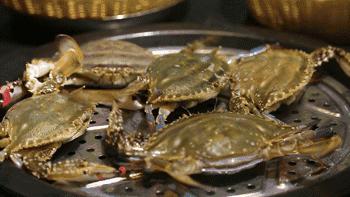 怎样选择海鲜的正确方法,海鲜如何清洗比较干净又好吃